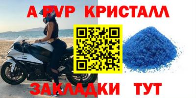 прущие крисы Будённовск