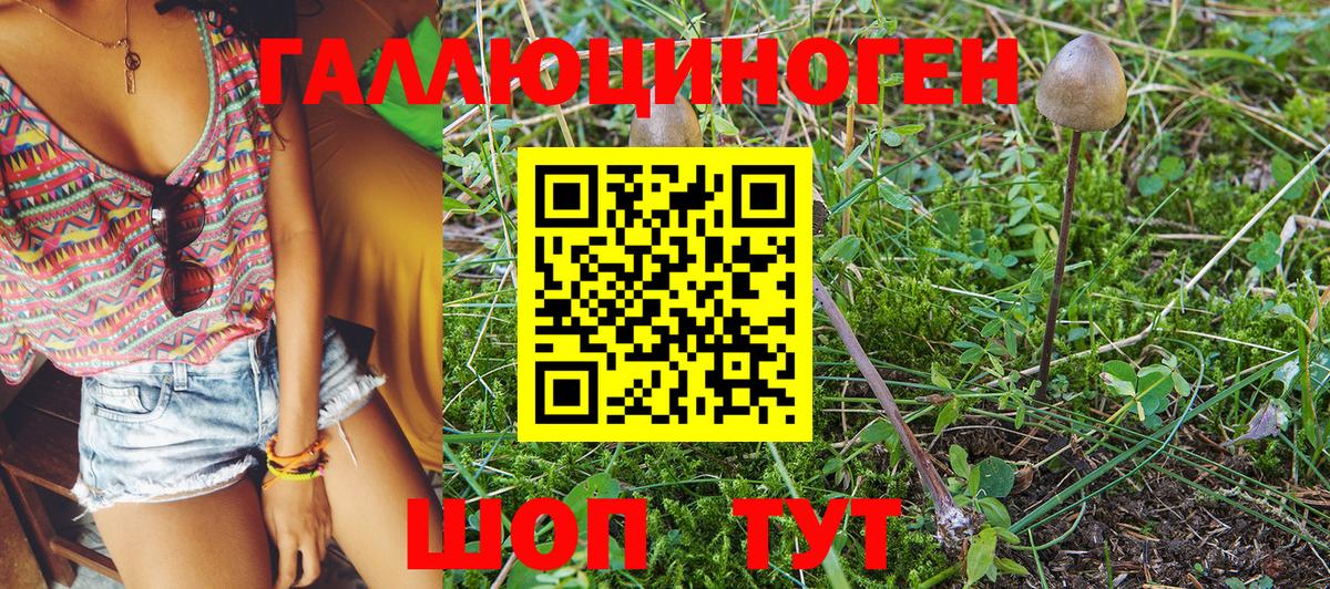 Семёнов  Галлюциногенные грибы Psilocybine cubensis  Вход с VPN 